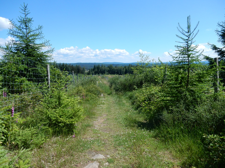 Auf dem Falkenberg bei Heigenbrücken mit Fernblick nach Osten