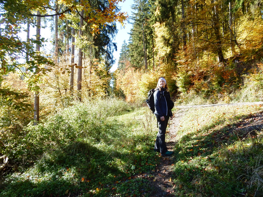 Auf dem Weg von Langenprozeltenzum Oberbecken an einem goldenenOktobertag Alle Fotos: © Konrad Lechner
