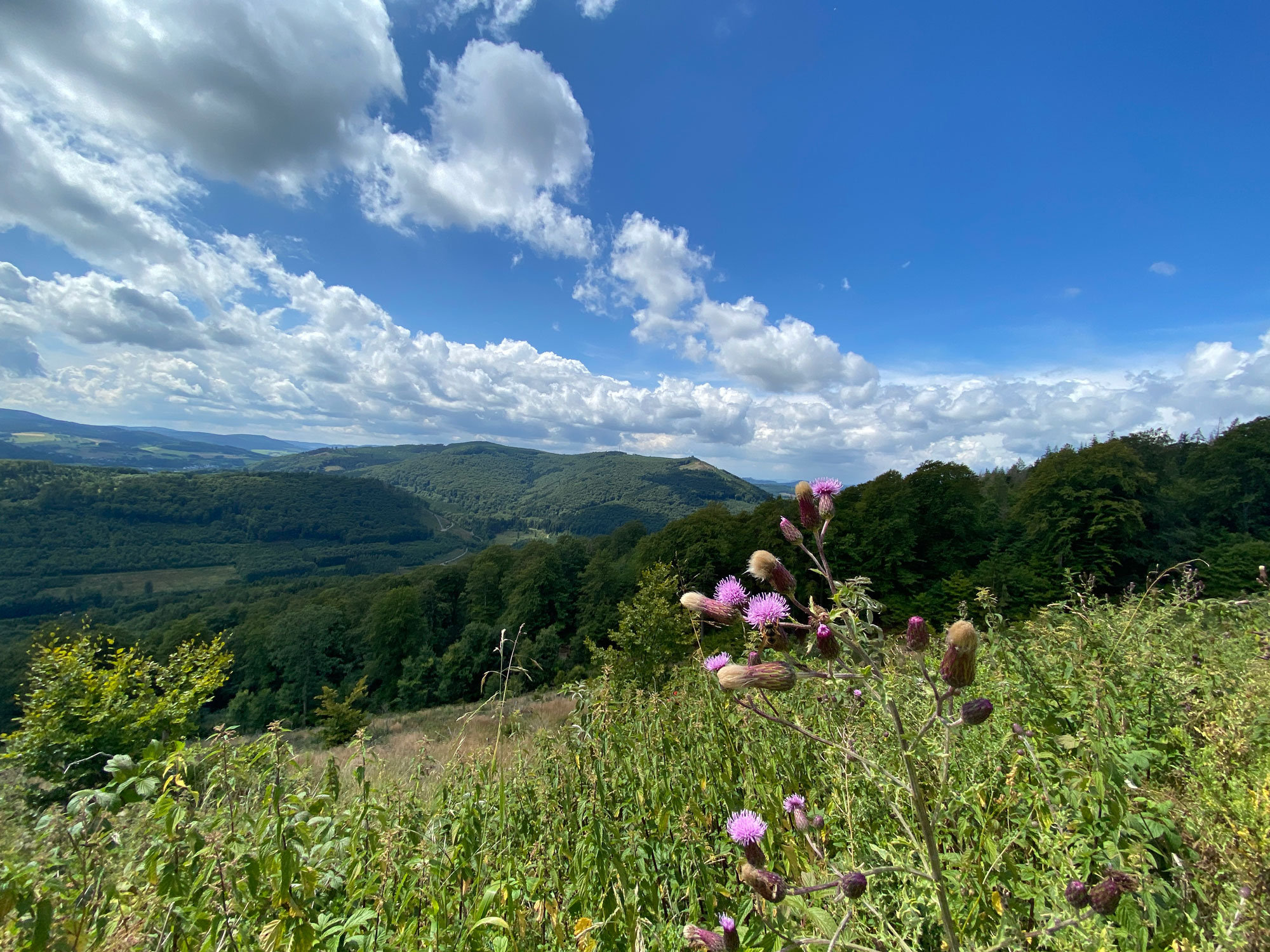 Aussicht auf das Rothaargebirge 