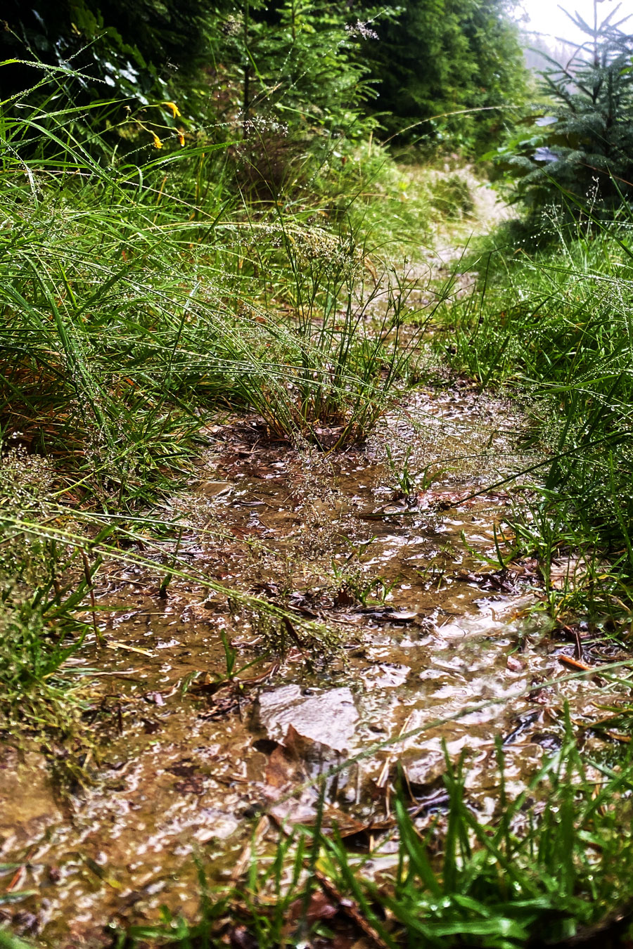 Bei Regenwetter an robustes Schuhwerk denken