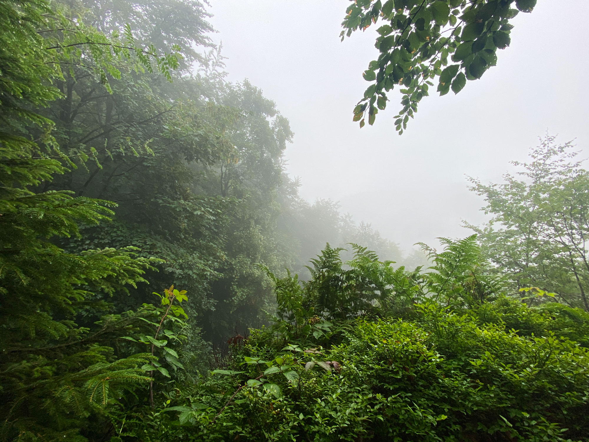 Der Ausblick vom Hollenhaus