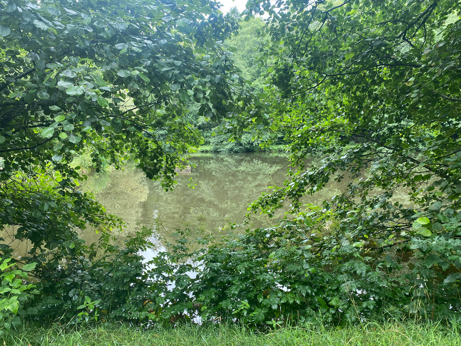 Idyllische Fischteiche
