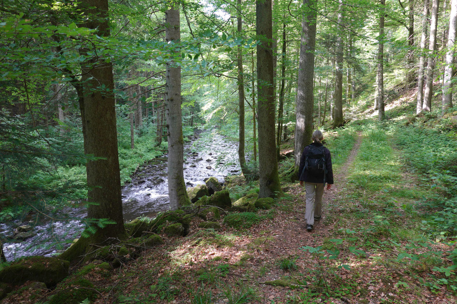 Plätschernde Synphonie des Wassers im Walde © Manfred Probst