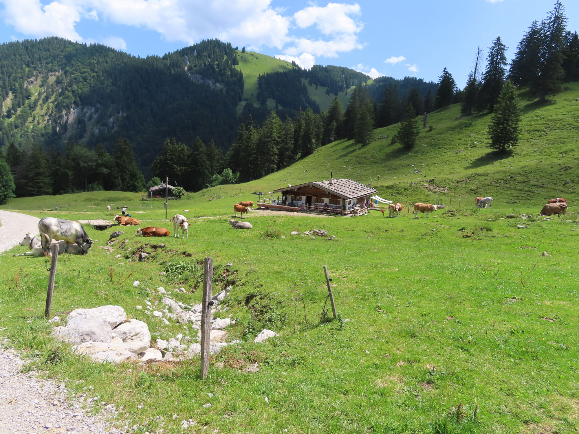 Die Rainer-Alm © Thomas Müller