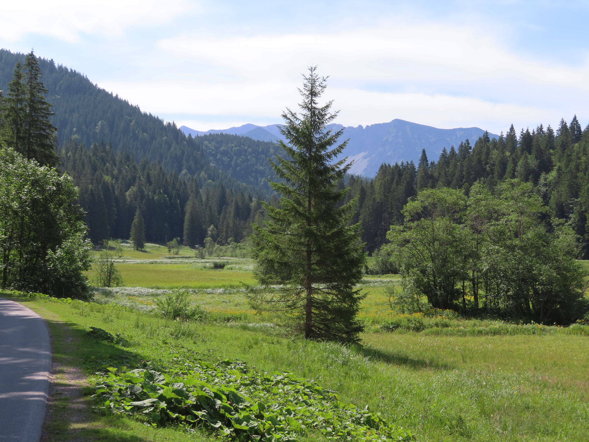 Bei der Valeppalm © Thomas Müller