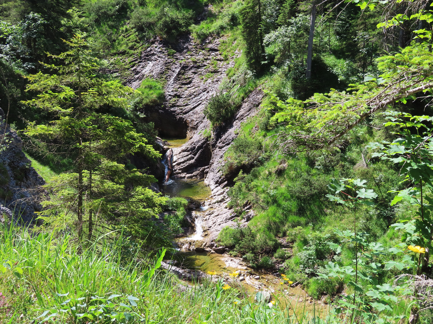 Im Pfanngraben © Thomas Müller