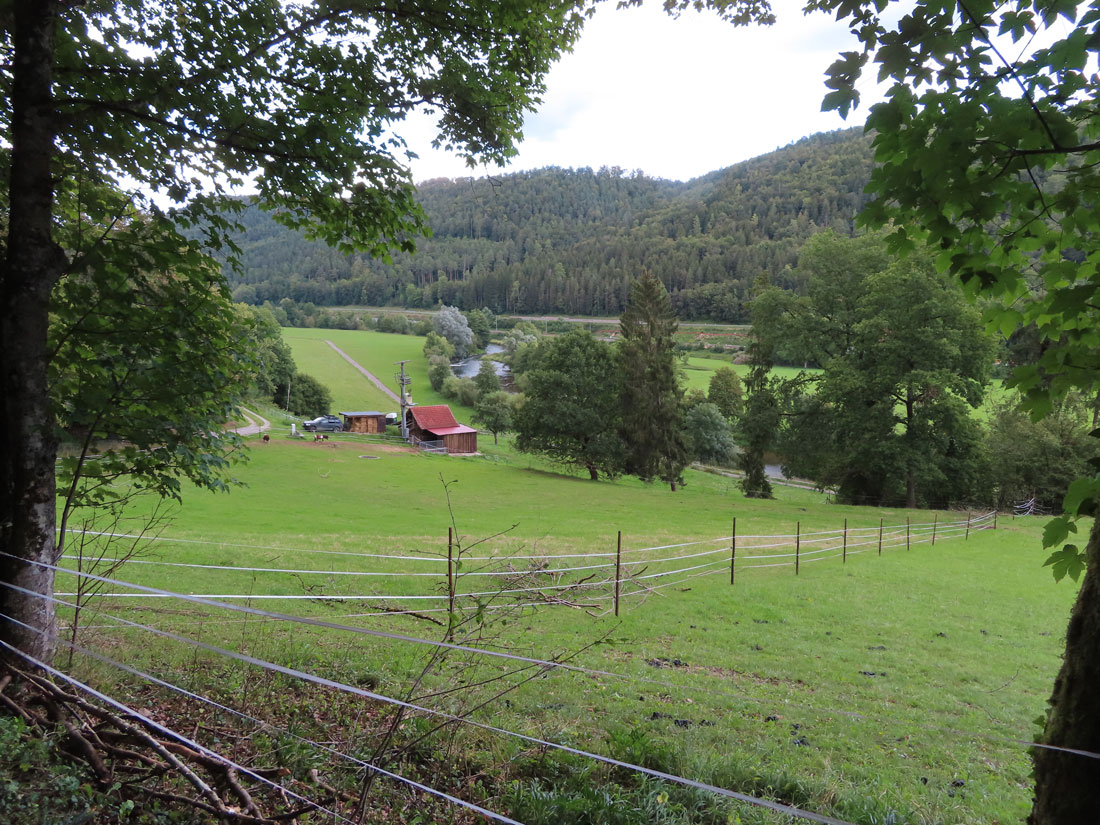 Blick ins Neckartal 