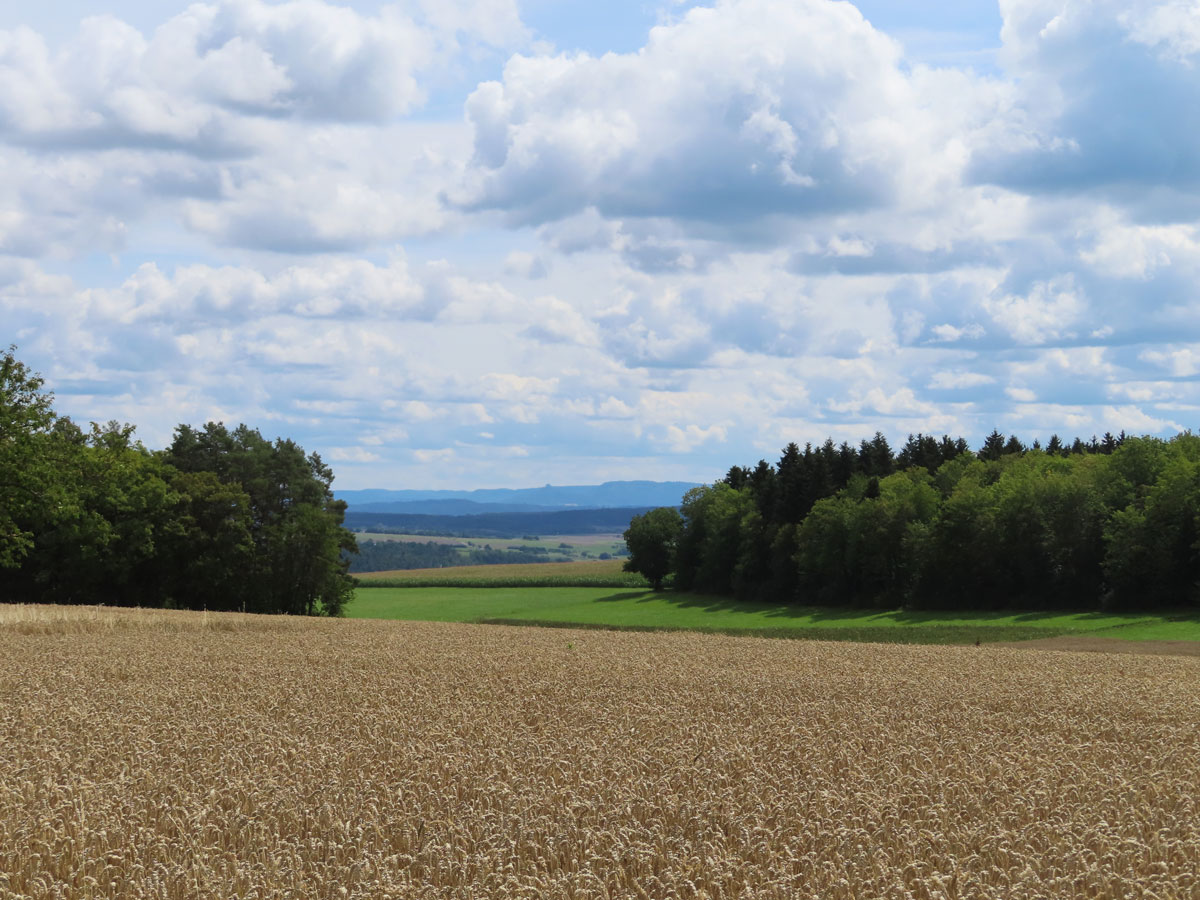Burg Hohenzollern im Hintergrund 