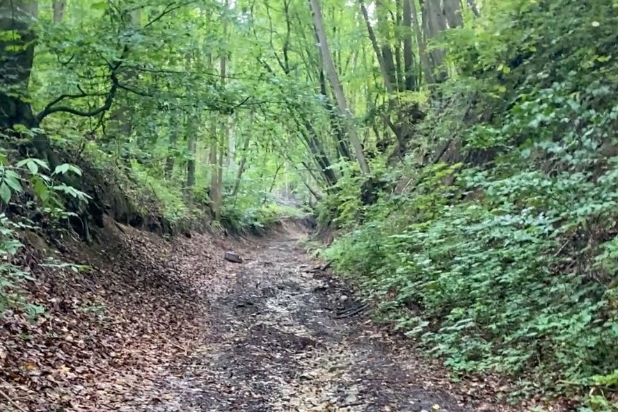 Hohlweg in Richtung Nißmitz