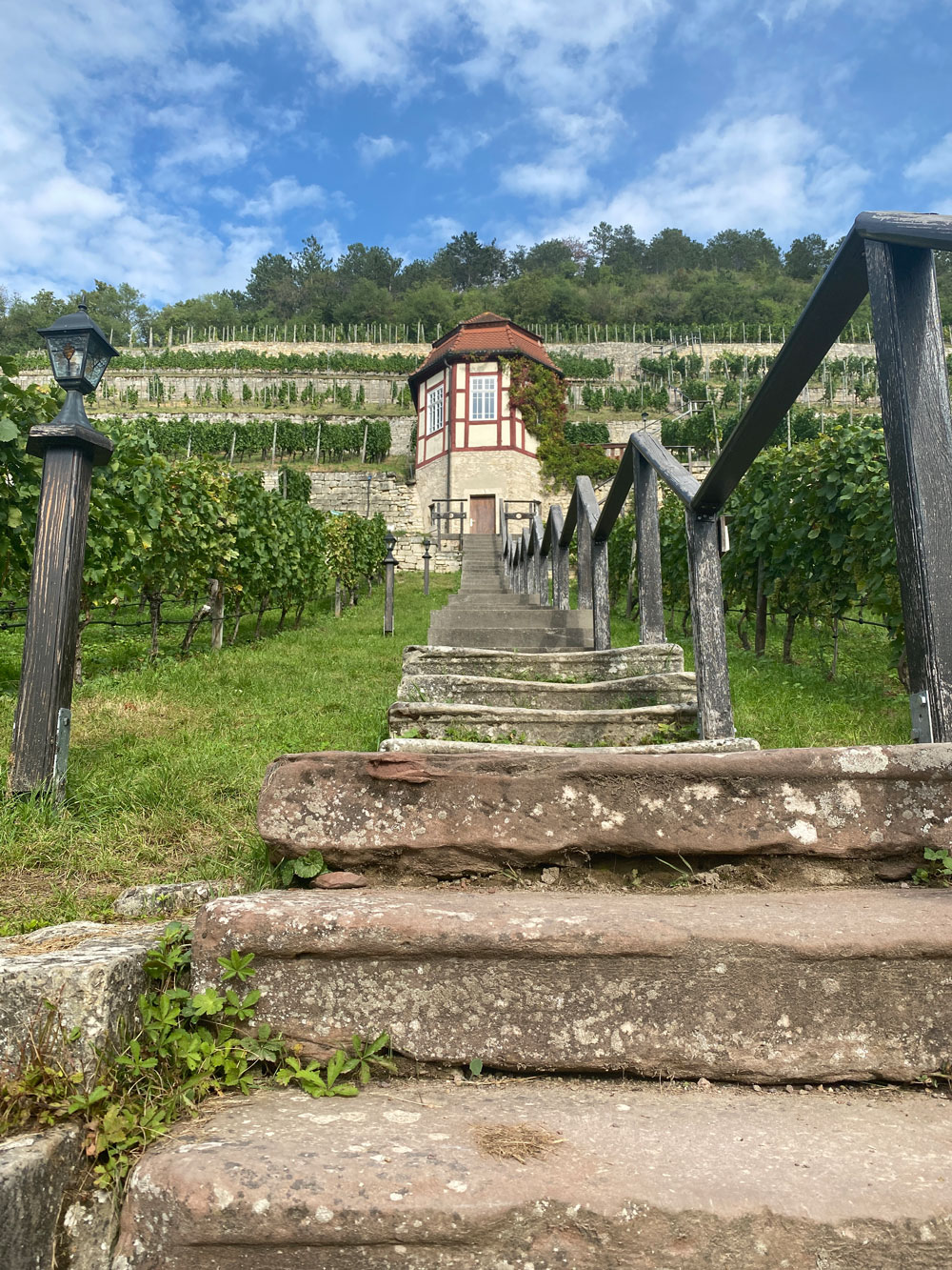 Blick auf das Weinberghaus aus dem 18. Jh. im Herzoglichen Weinberg Freyburg