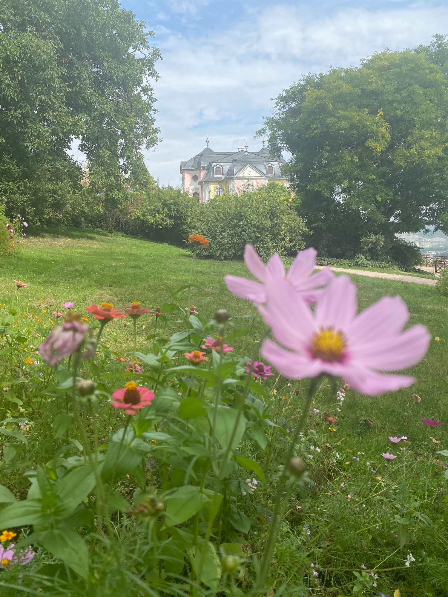 In der Gartenanlage an den Dornburger Schlössern. Im Hintergrund ist das Rokokoschloss zu erkennen.