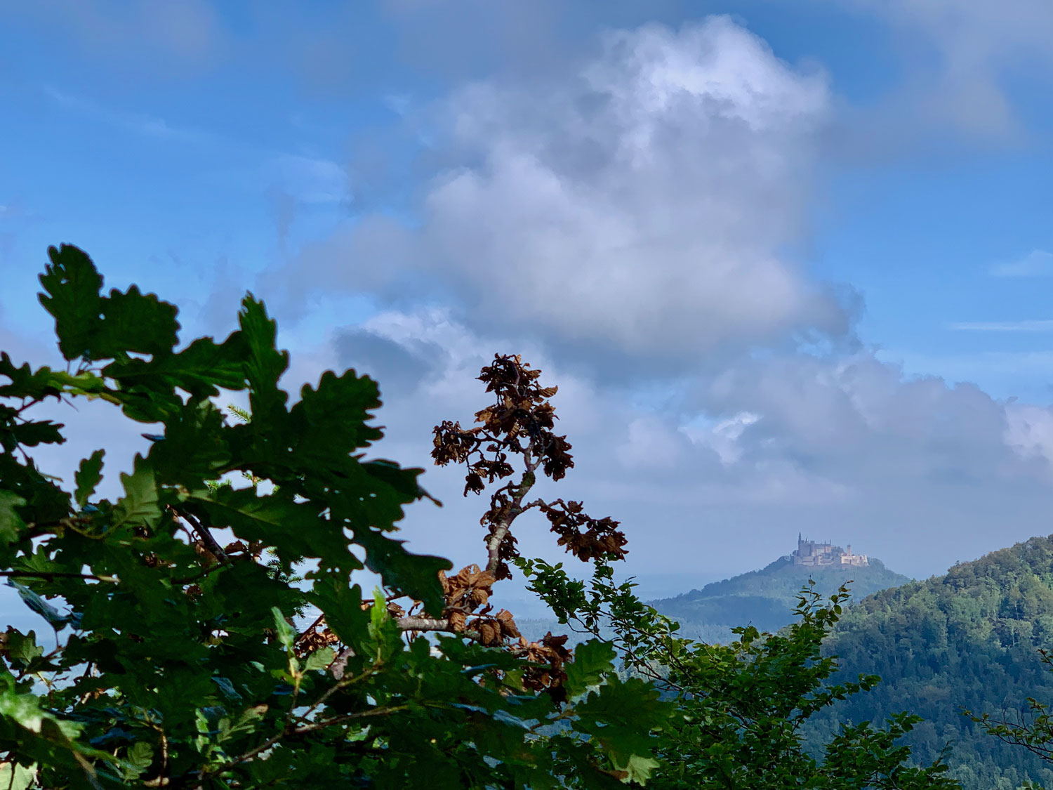 Fürstlicher Ausblick auf Burg Hohenzollern auf dem Traufgang Wiesenrunde © Andrea C. Bayer