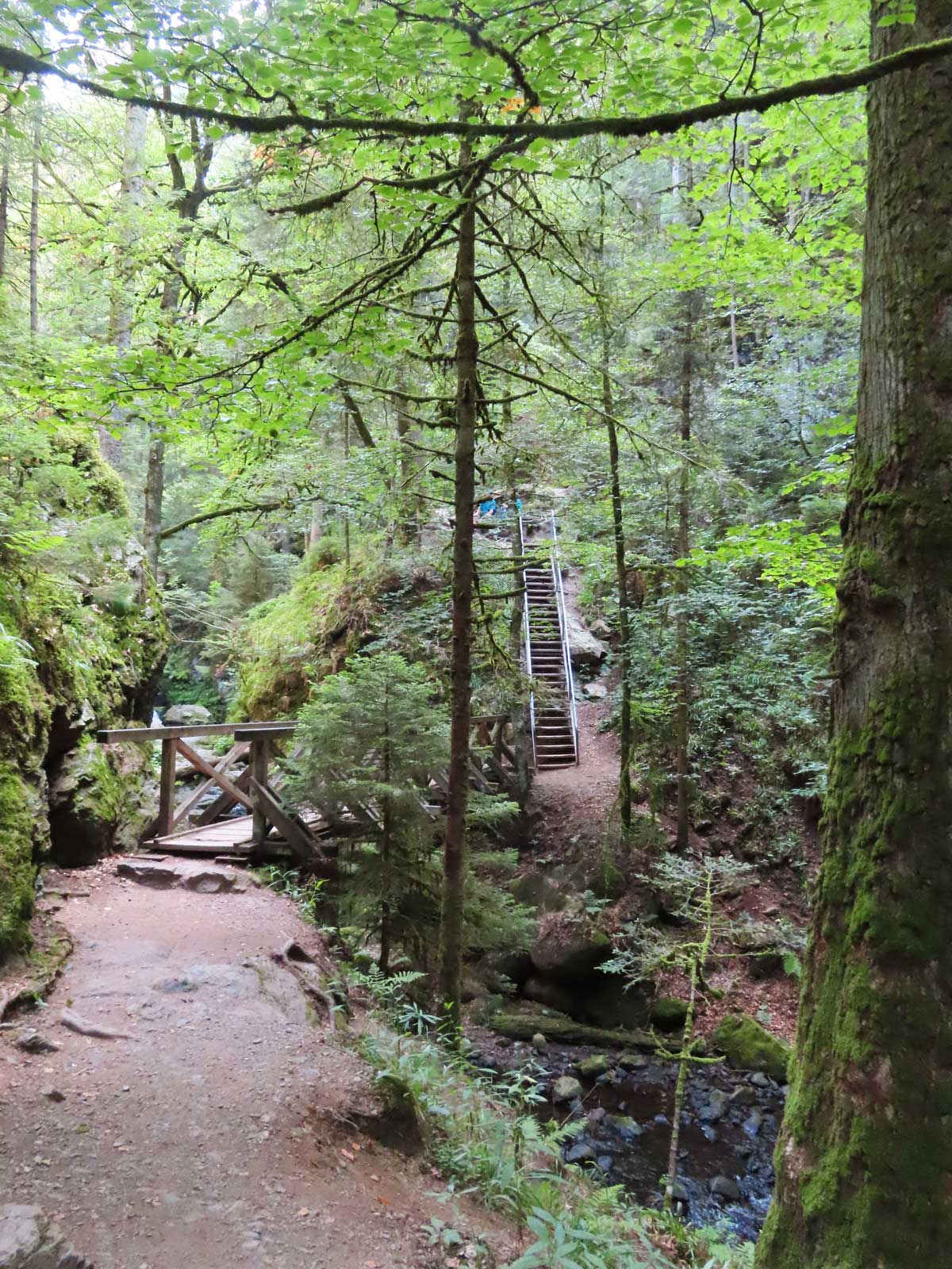 Treppen in der Ravennaschlucht 
