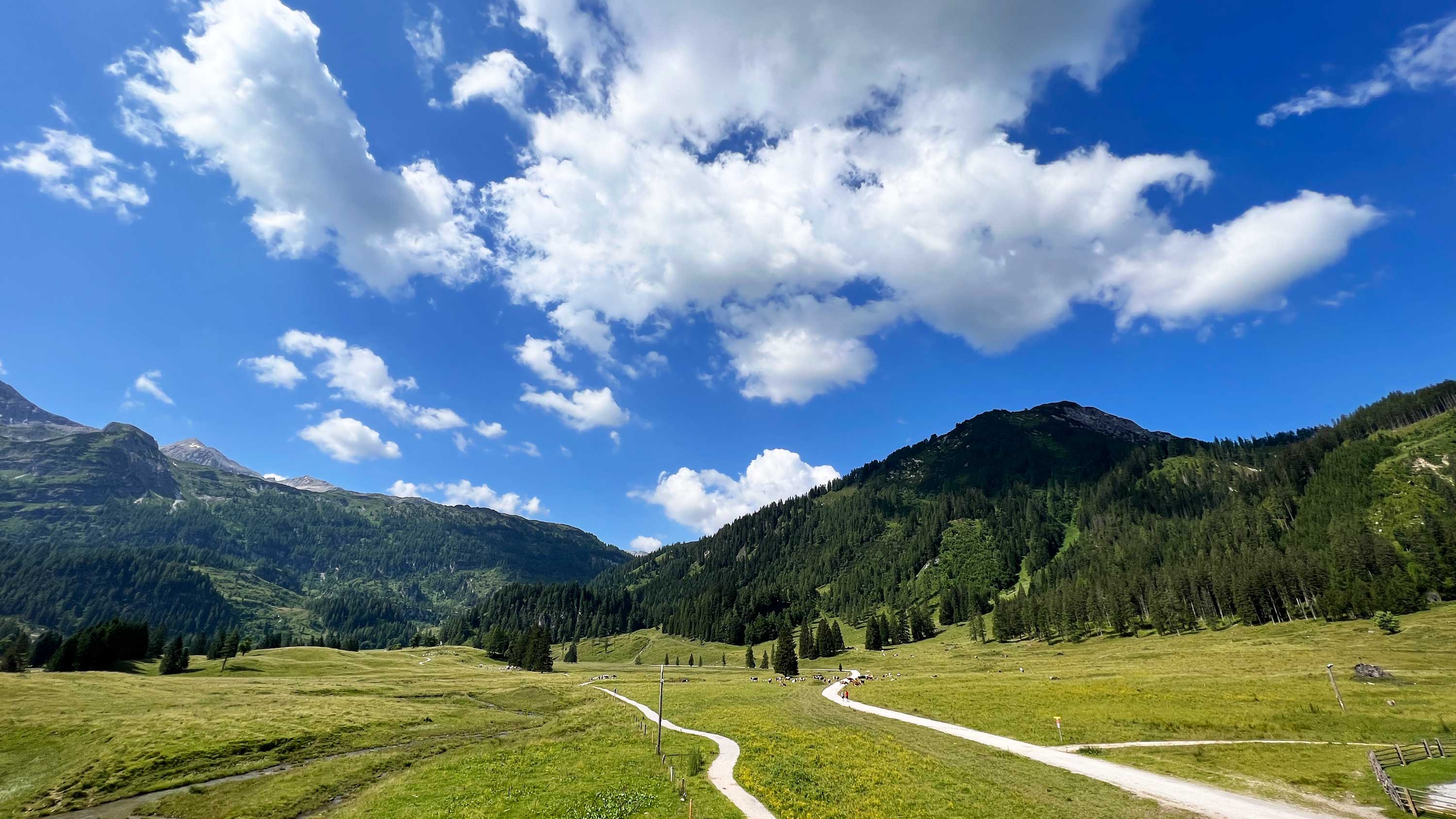 Ausblick vom Zirbenspielturm (Weg in der Mitte „Alles Alm“ Rundwanderweg – rechts Gnadenalmstraße), Alle Fotos © Dennis Gutenmorgen