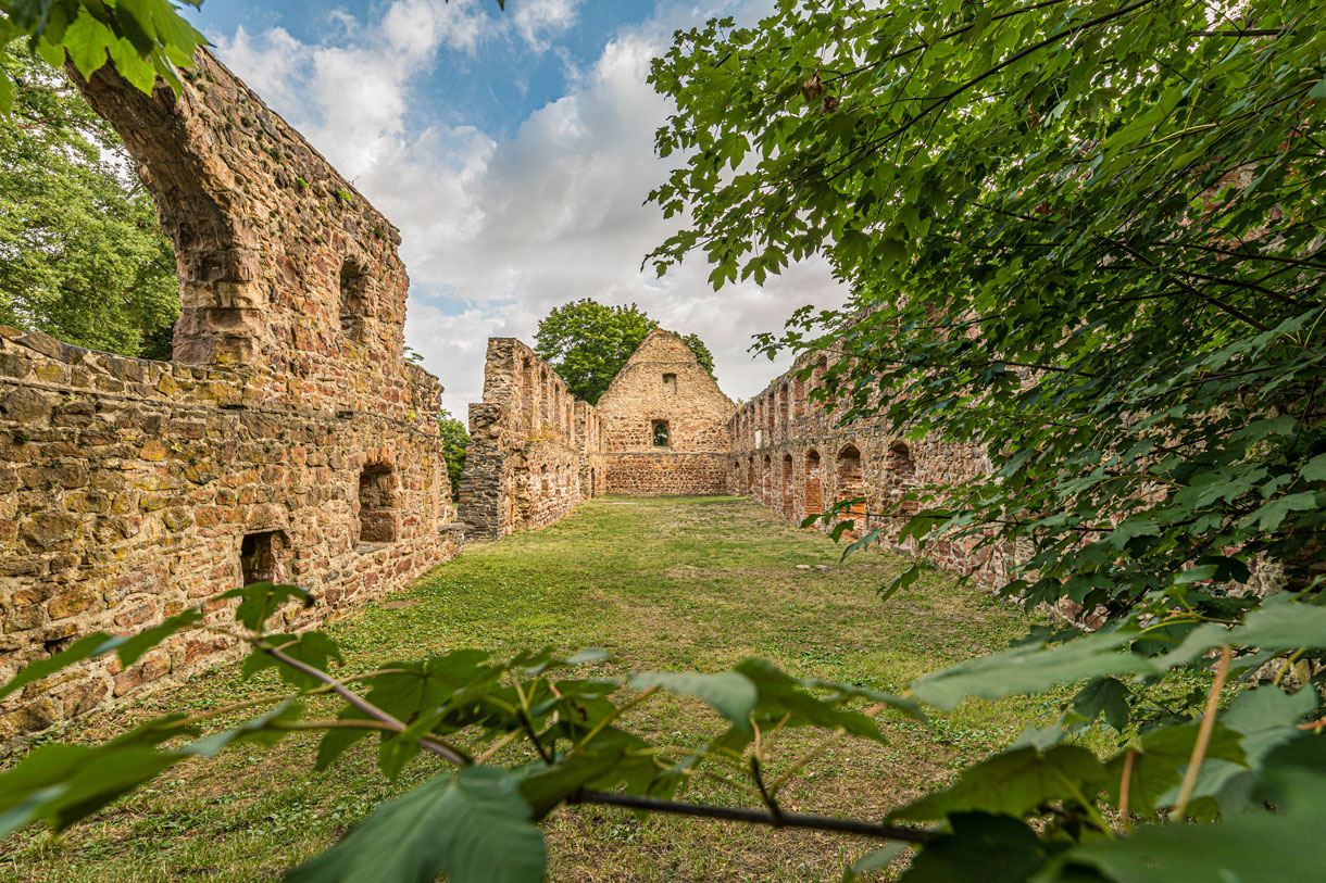 Klosterruine Nimbschen © Philipp Kirschner