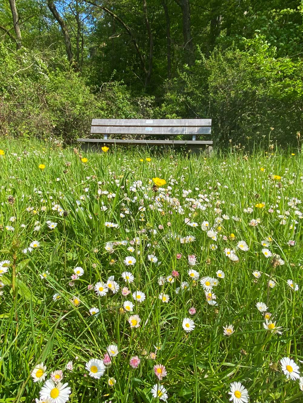 Einladende Pausenplätze