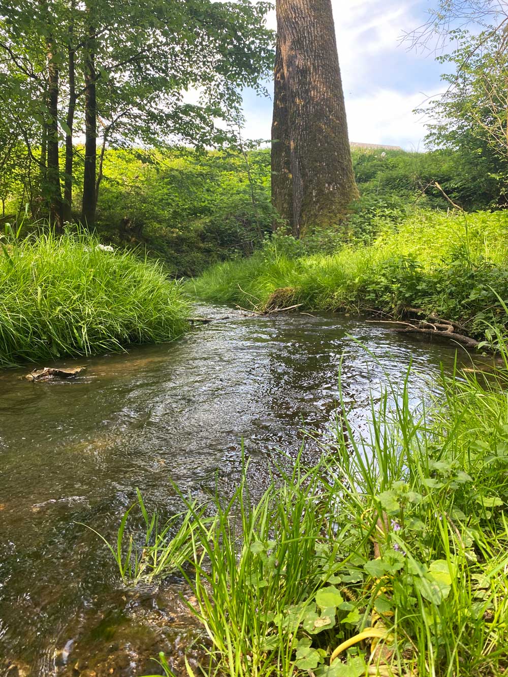 Der Erdbach 