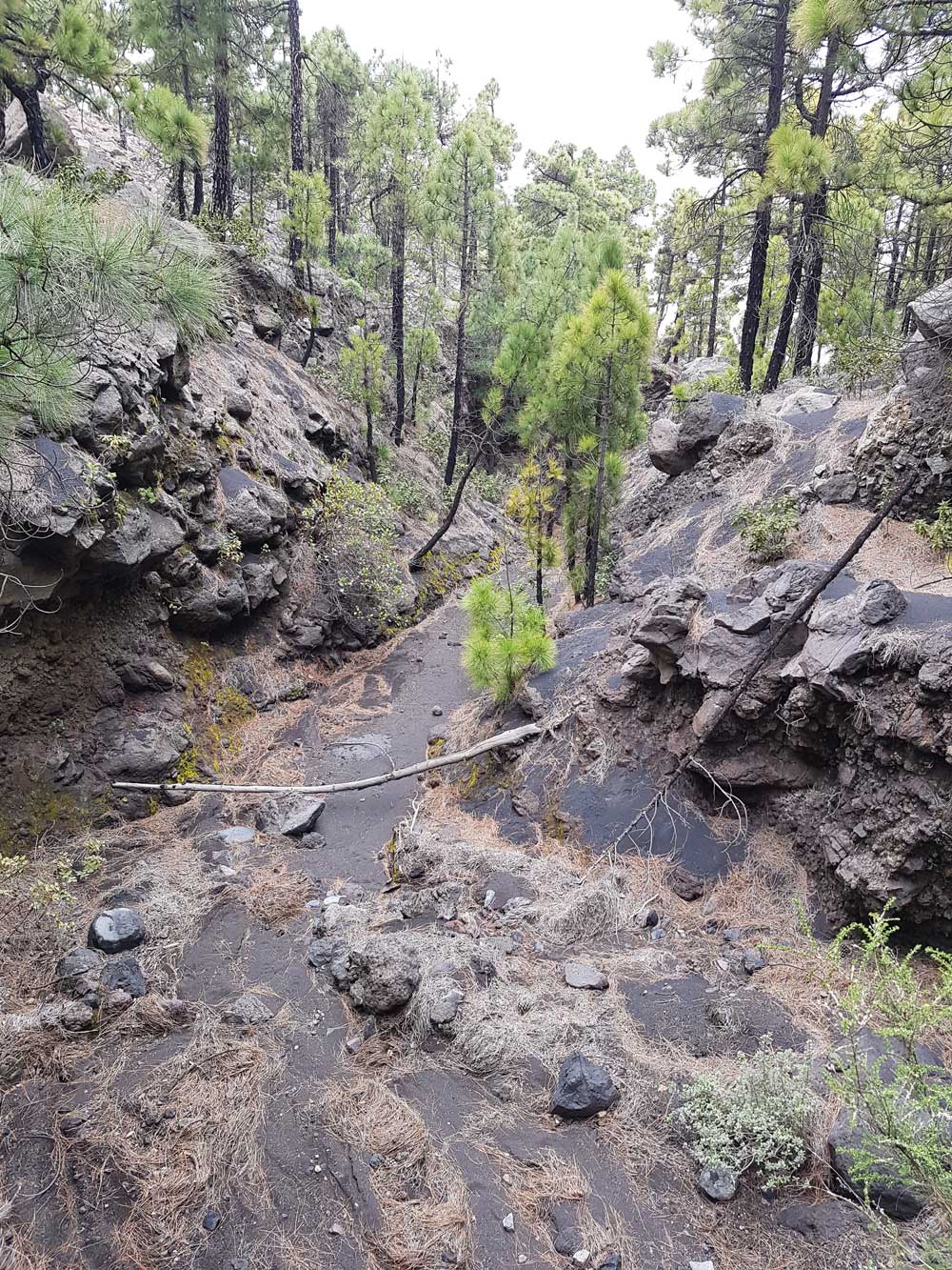 Ein Barranco, eine tiefeingeschnittene Schlucht