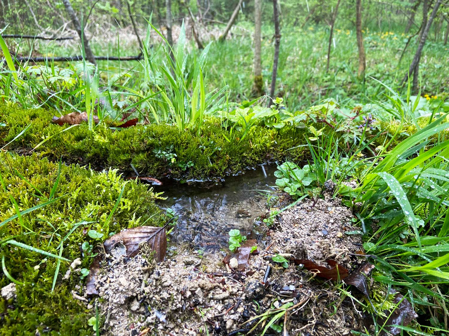 Miniaturlandschaft