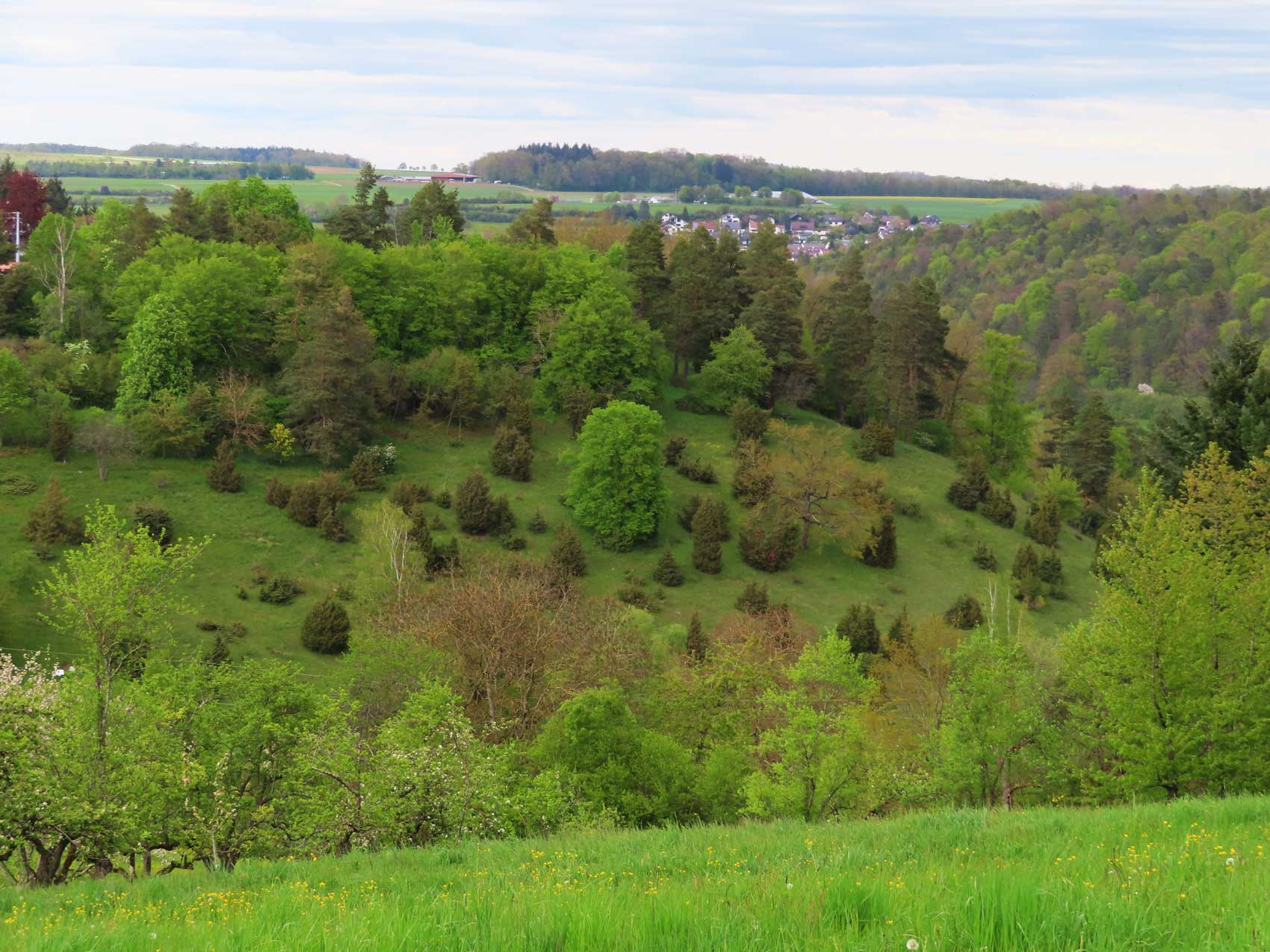 Blick auf die Wachholderheide am Venusberg Alle Fotos © Thomas Müller