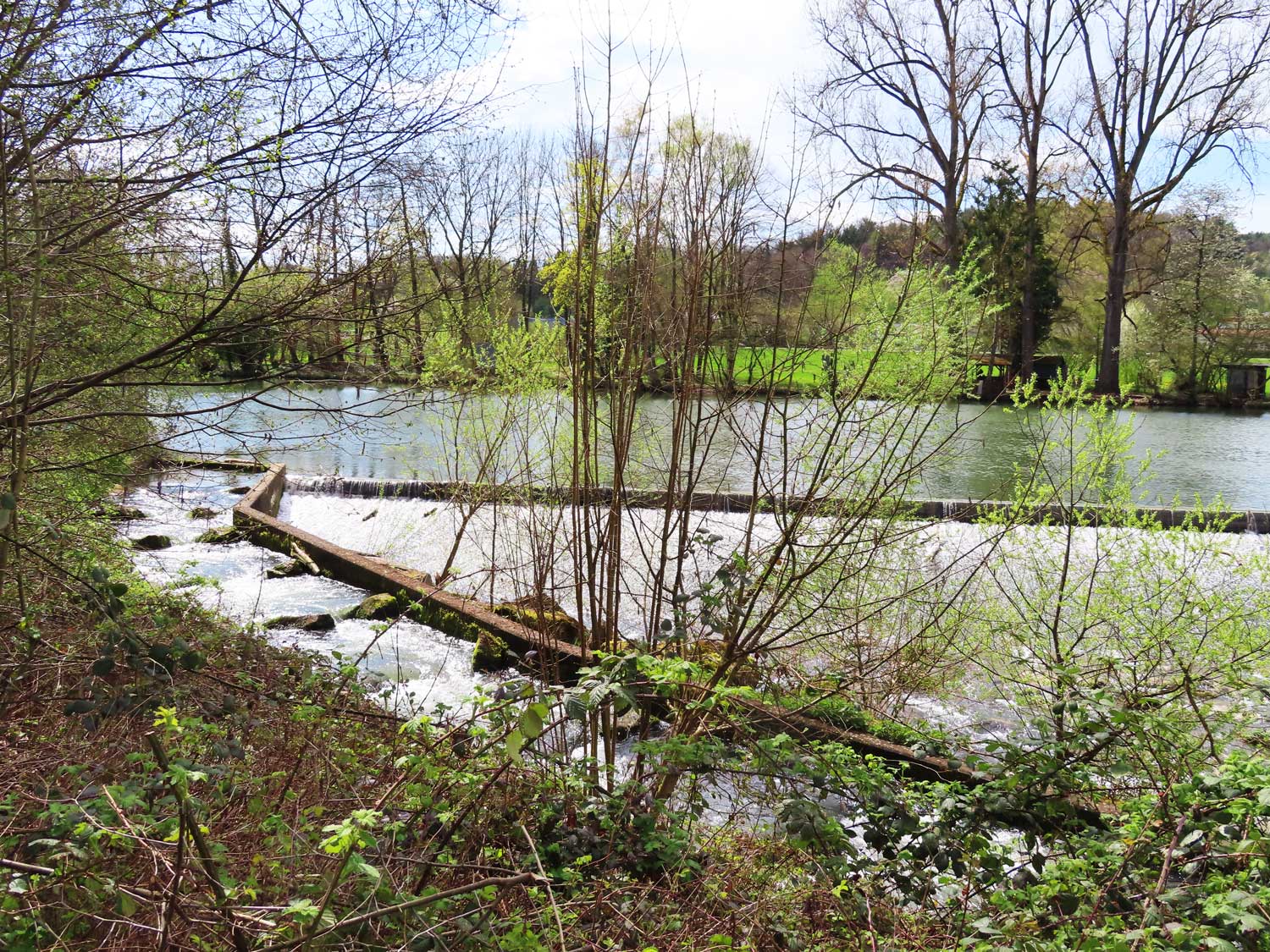 Das Neckar-Stauwehr mit Fischtreppe 