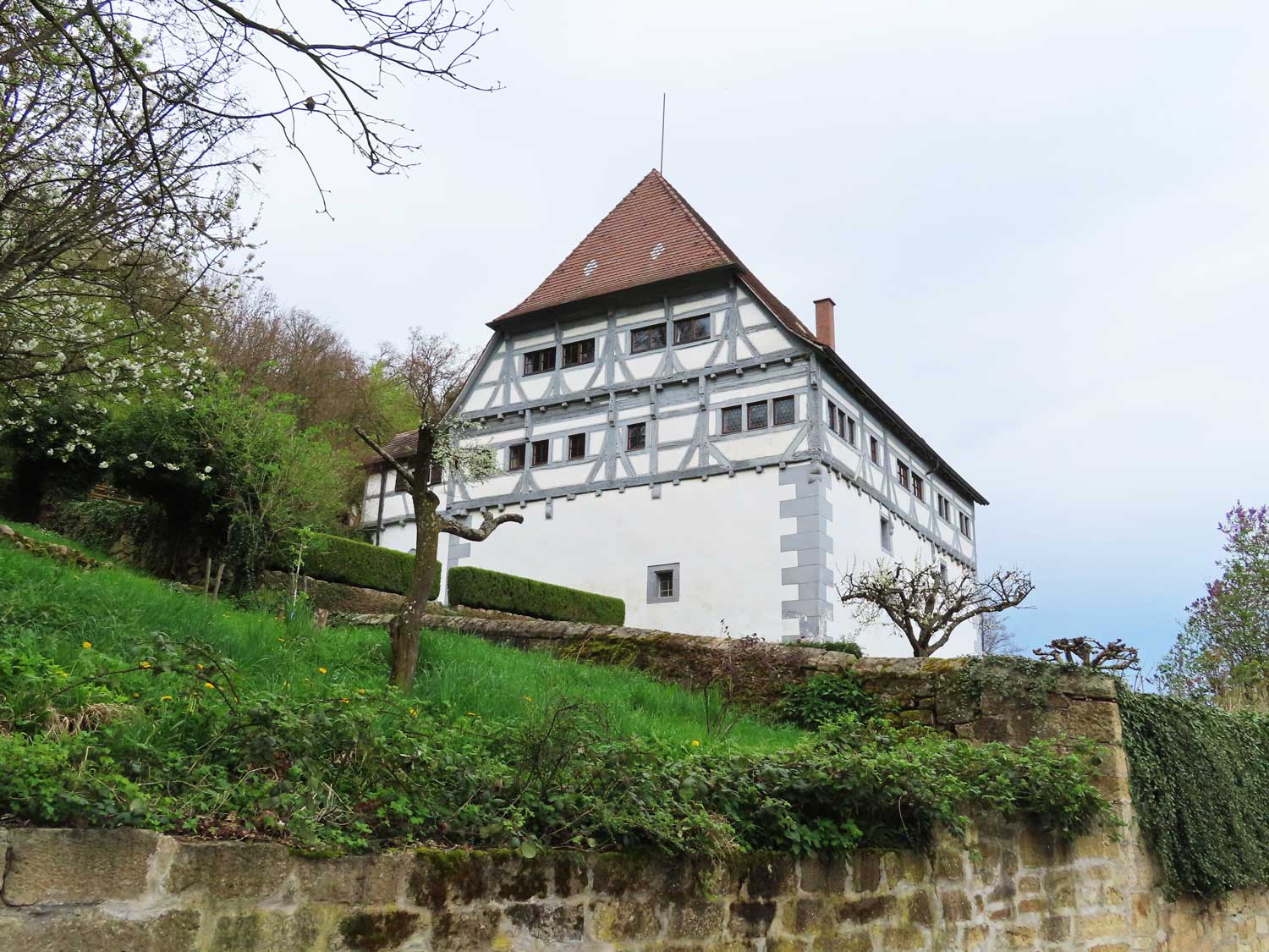 Die Neckarburg 