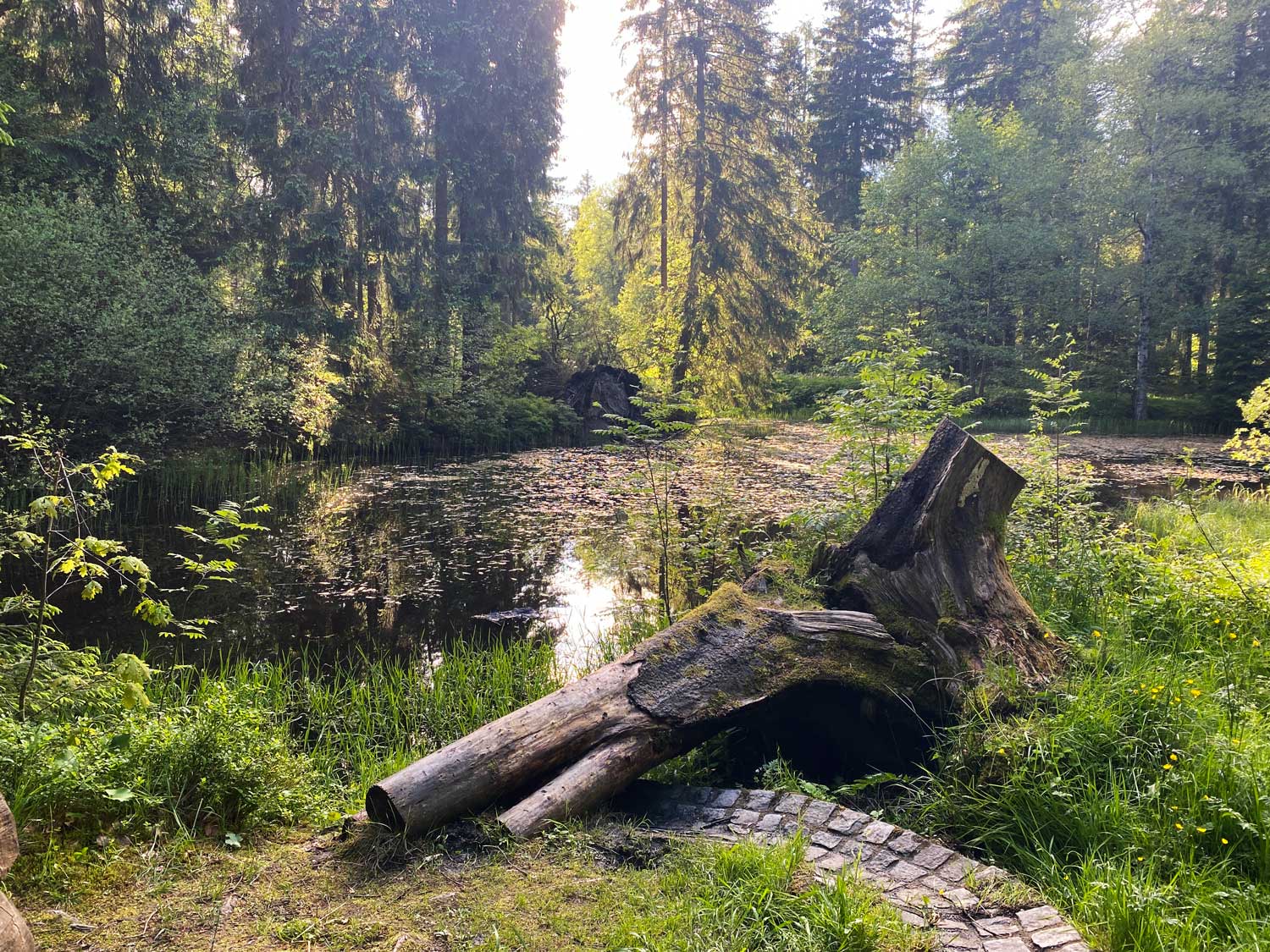 Abendstimmung am See