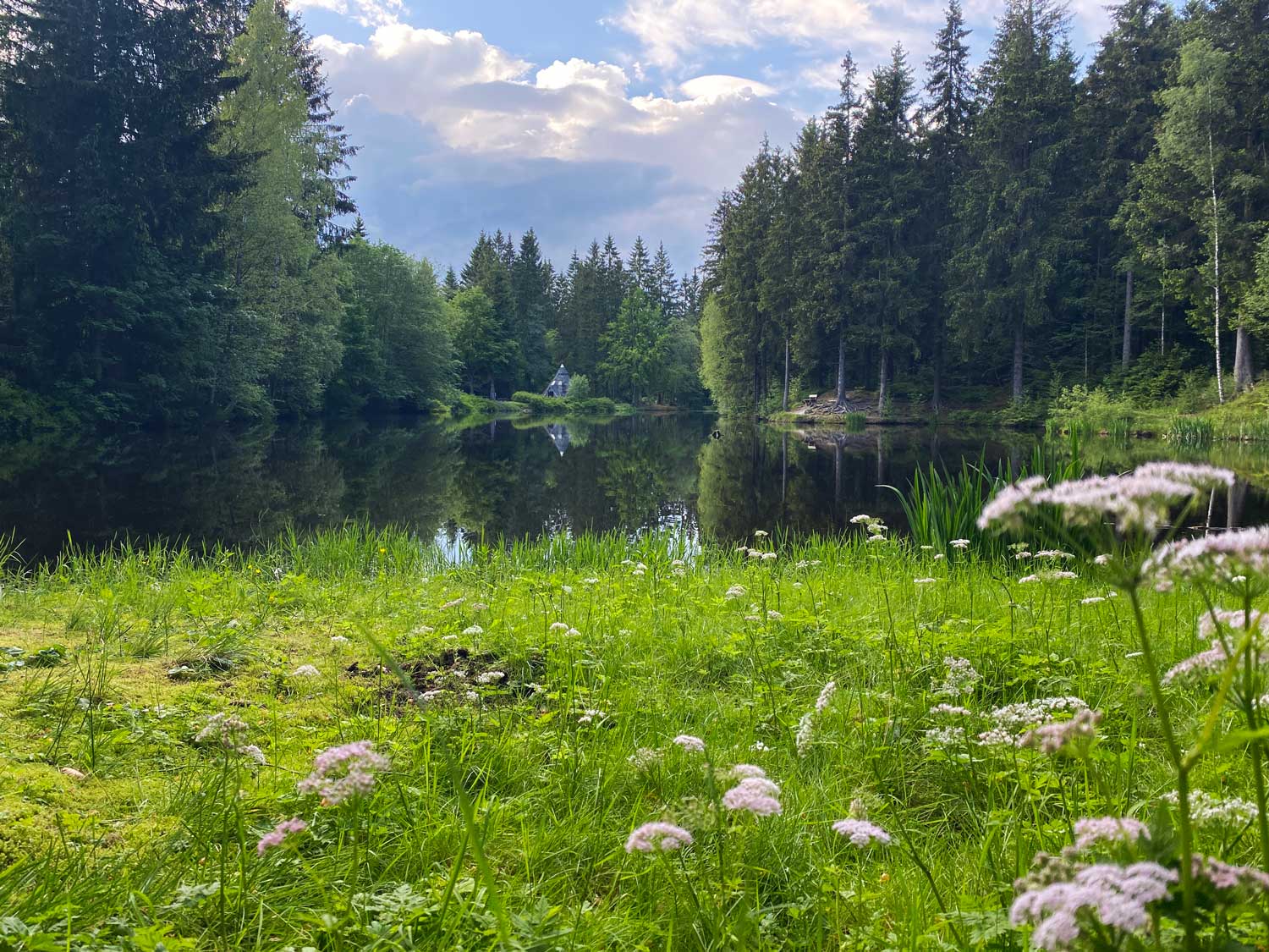 Blick auf den Meilerteich bei Schöneck, alle Fotos © Marieke Wist 
