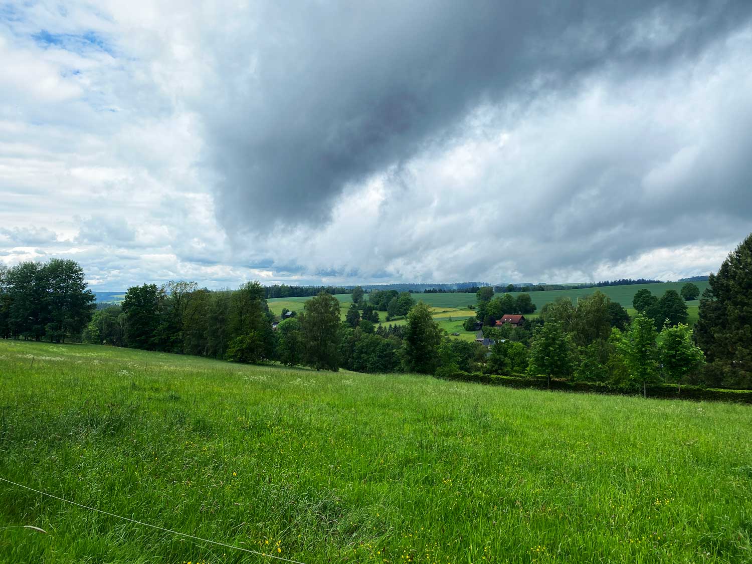 Waldwege wechseln sich mit weiten Ausblicken ab