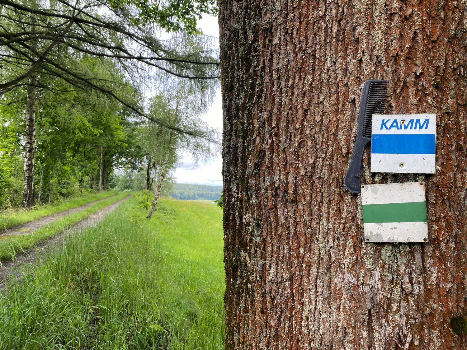 Dekorierte Wegbeschilderung