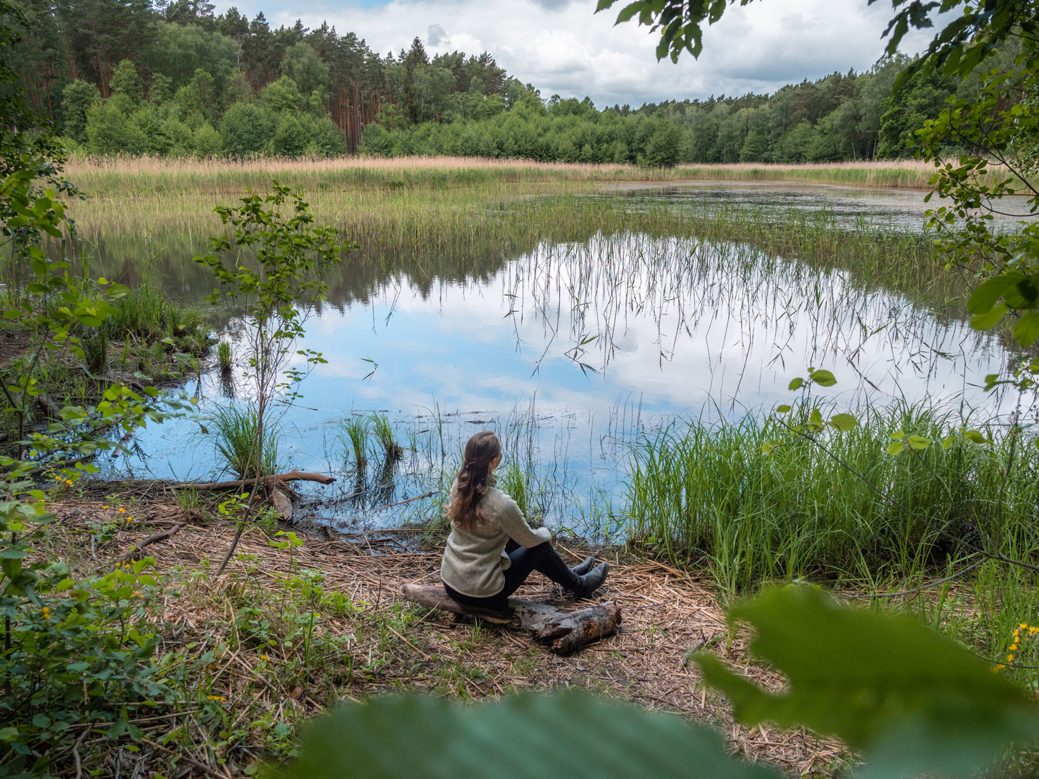 Wandern zwischen historischen Stadtkernen und Naturidyllen – in Sachsen-Anhalt findet sich die passende Abwechslung