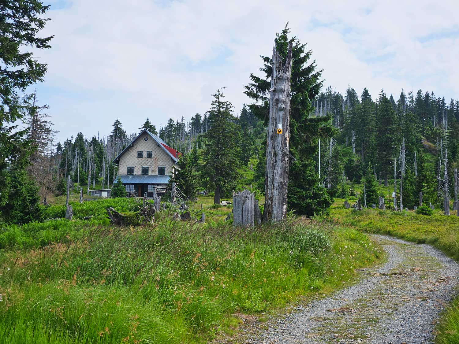 Auf einer Lichtung lädt das Waldschmitdthaus zur Pause ein