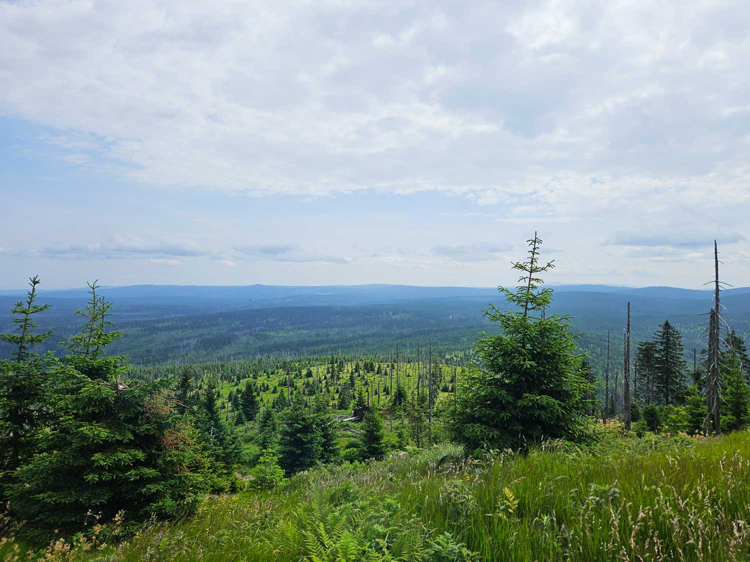 Ausblick vom Gipfel