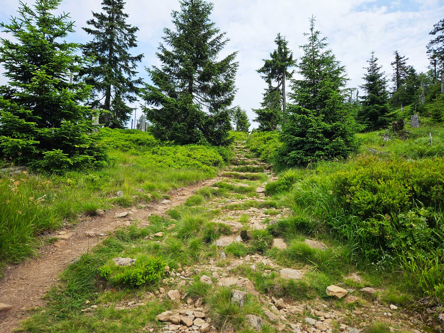 Über einen steinigen Pfad gelangen wir zum Rachelgipfel