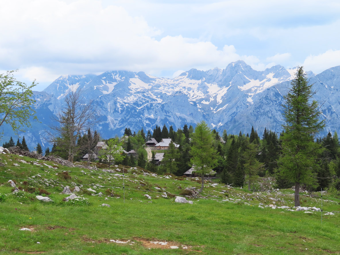 Tour 1: Grandioser Ausblick auf die Steiner Alpen und die Hirtensiedlung Velina planina Alle Fotos © Thomas Müller