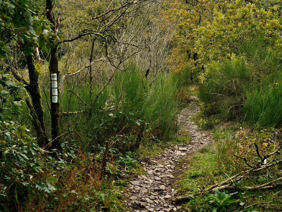 Willkommen auf dem Escarpardennen Lee Trail
