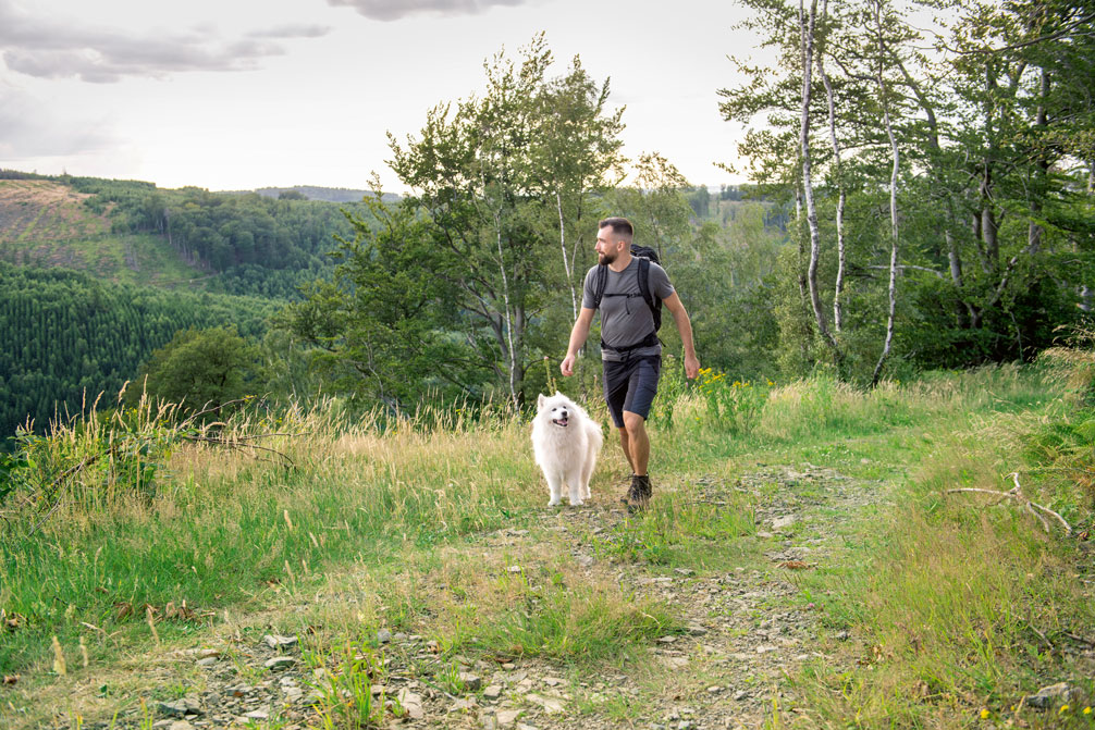 Marwin Isenberg mit Hund Juno unterwegs im Sauerland Fotos, wenn nicht anders gekennzechnet © Justyna Schwertner