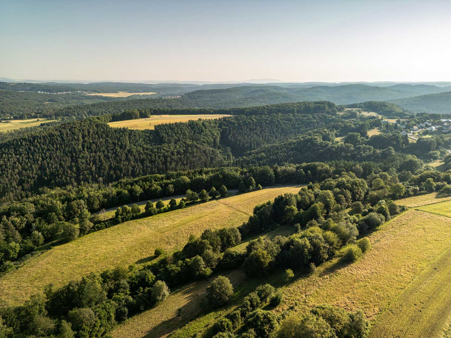Blick über die Sickinger Höhe am Holzlandweg bei Geiselberg, alle Fotos © Pfalz Touristik, Fachenbach Medien