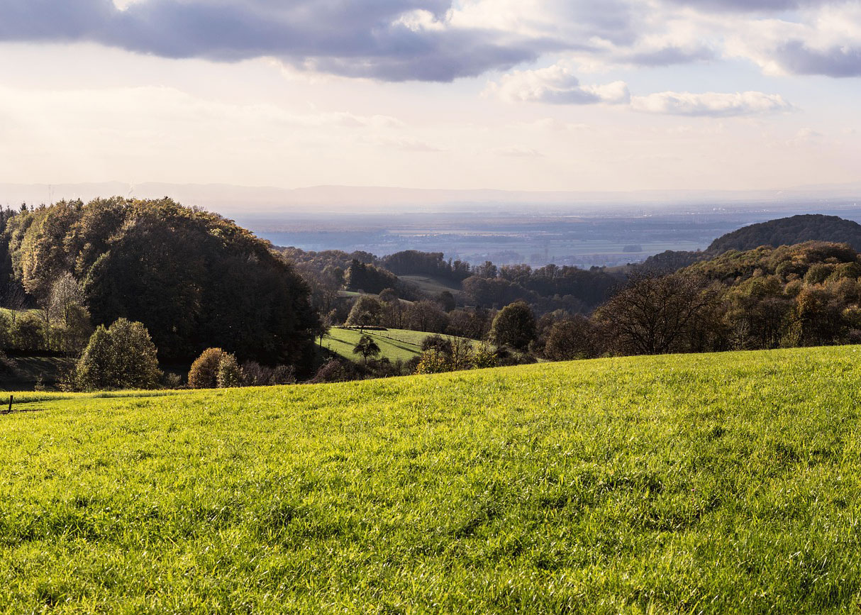 Typisches Panorama im Odenwald © pixabay, Monika P.