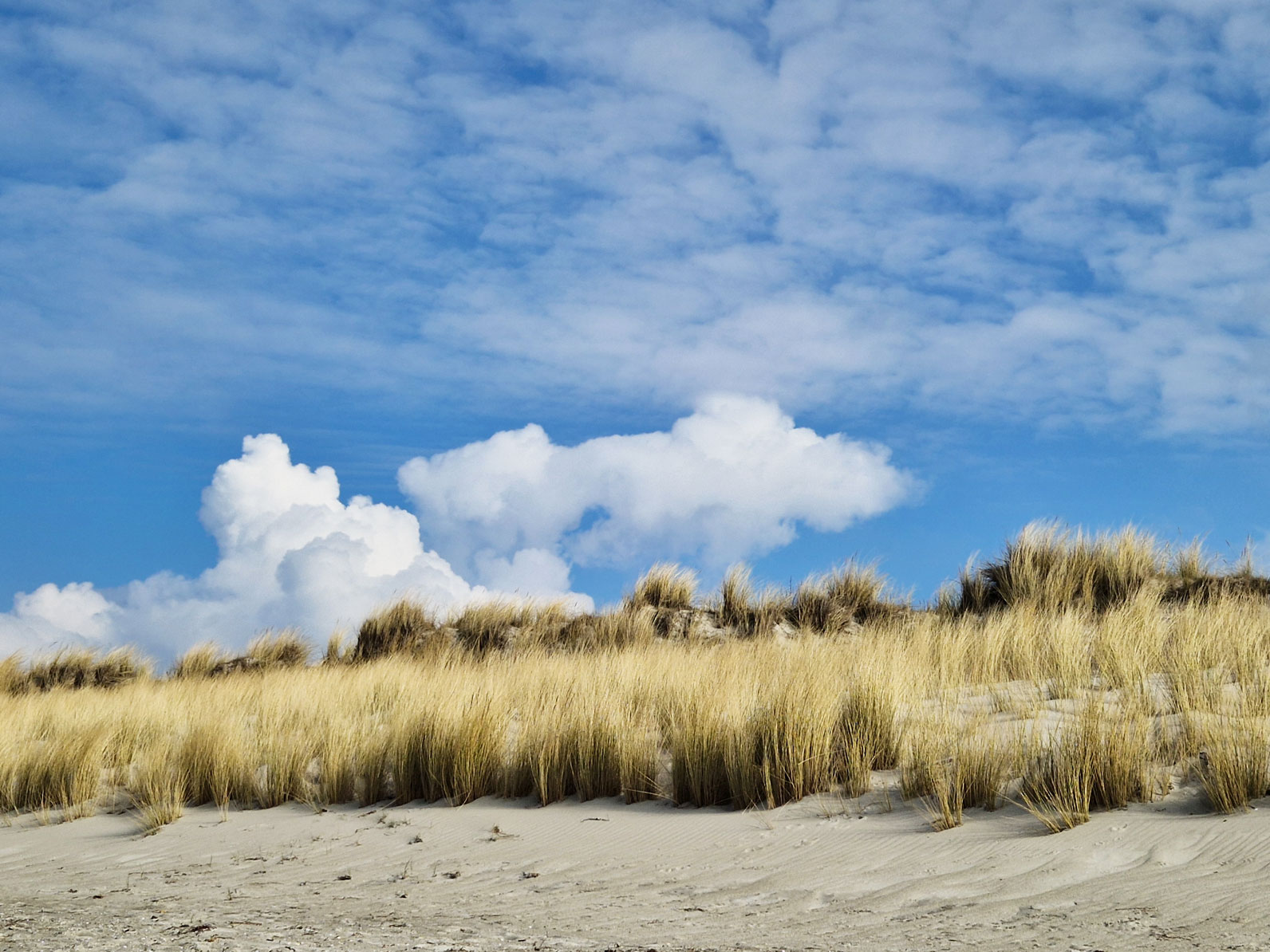 Am Darßer Weststrand