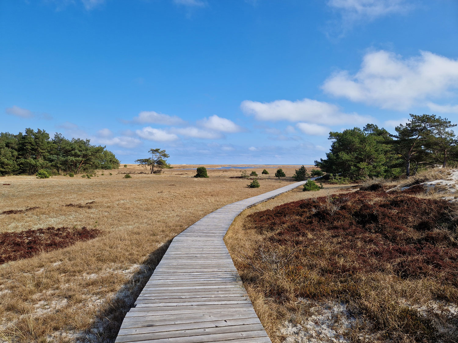 Holzbohlenweg in der nordwestlichsten Spitze des Darß