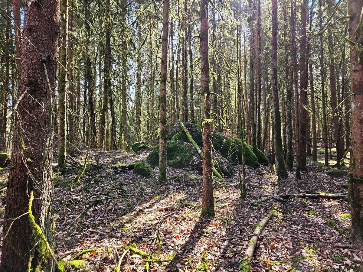 Überall finden sich die typischen Granitfelsen © Anja Pfeffer