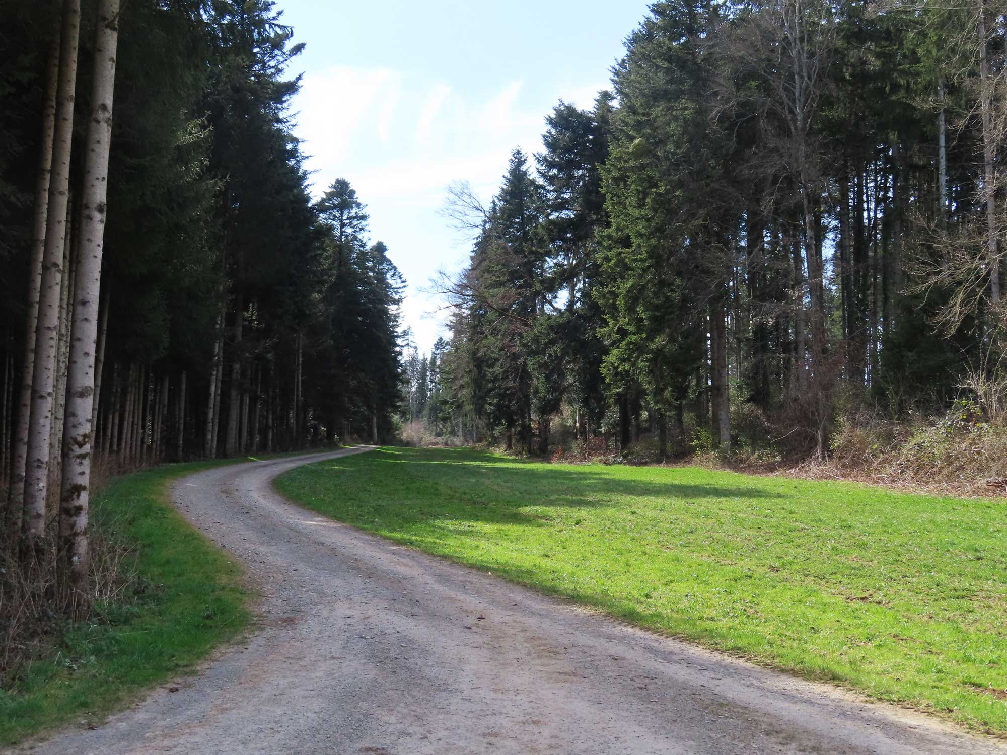 Der Weg ist das Ziel © Thomas Müller