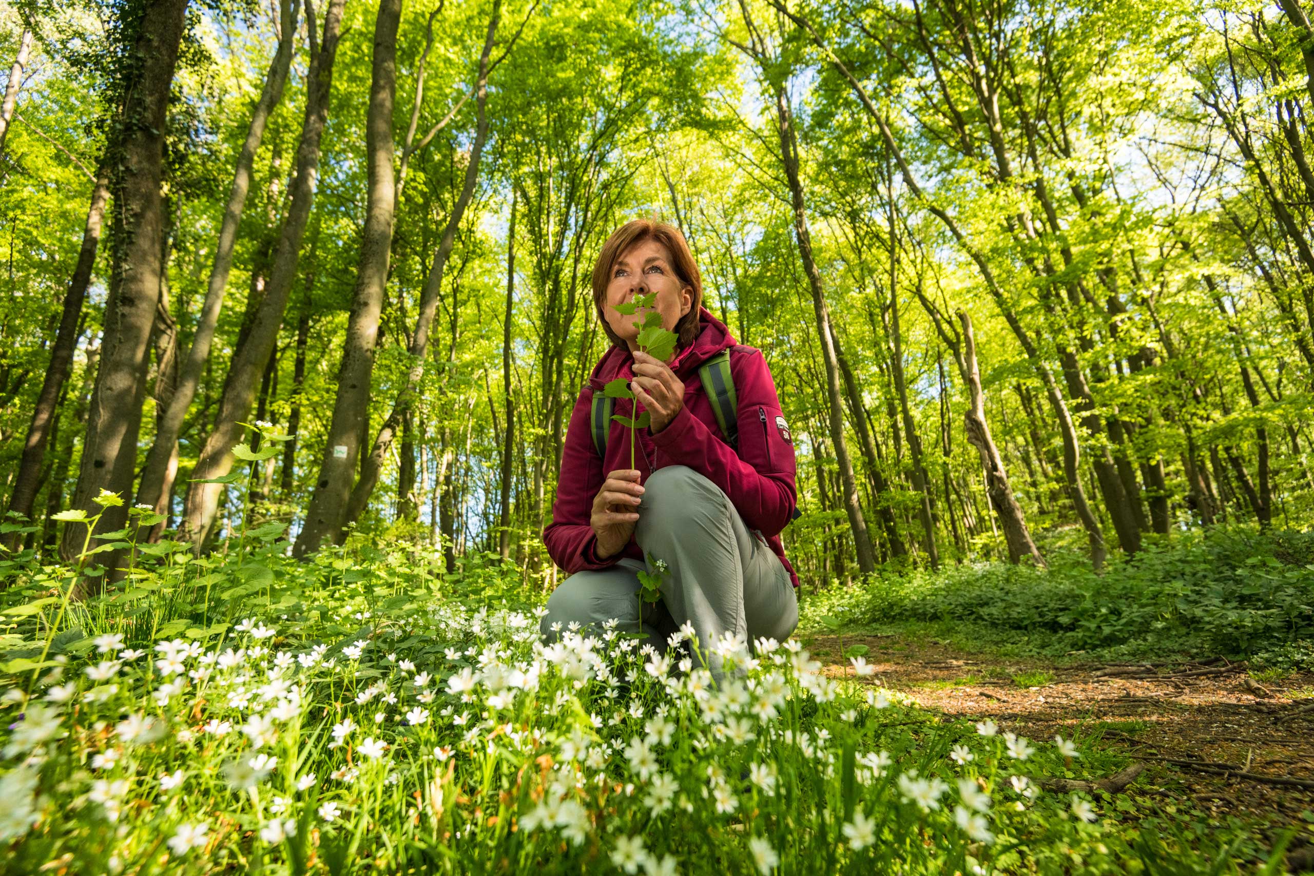 Frühlingsduft am WesterwaldSteig © Dominik Ketz | Westerwald Touristik-Service (CC BY SA 4.0, https://creativecommons.org/licenses/by-sa/4.0/)