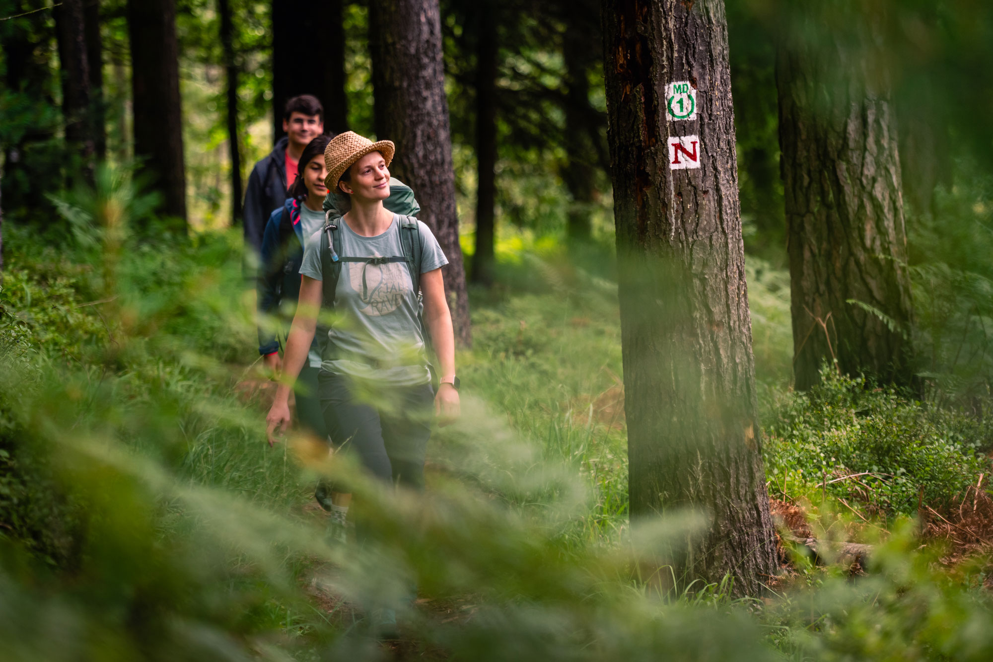 Auf dem Nibelungensteig – Olfener Moor © Nils Ohlendorf