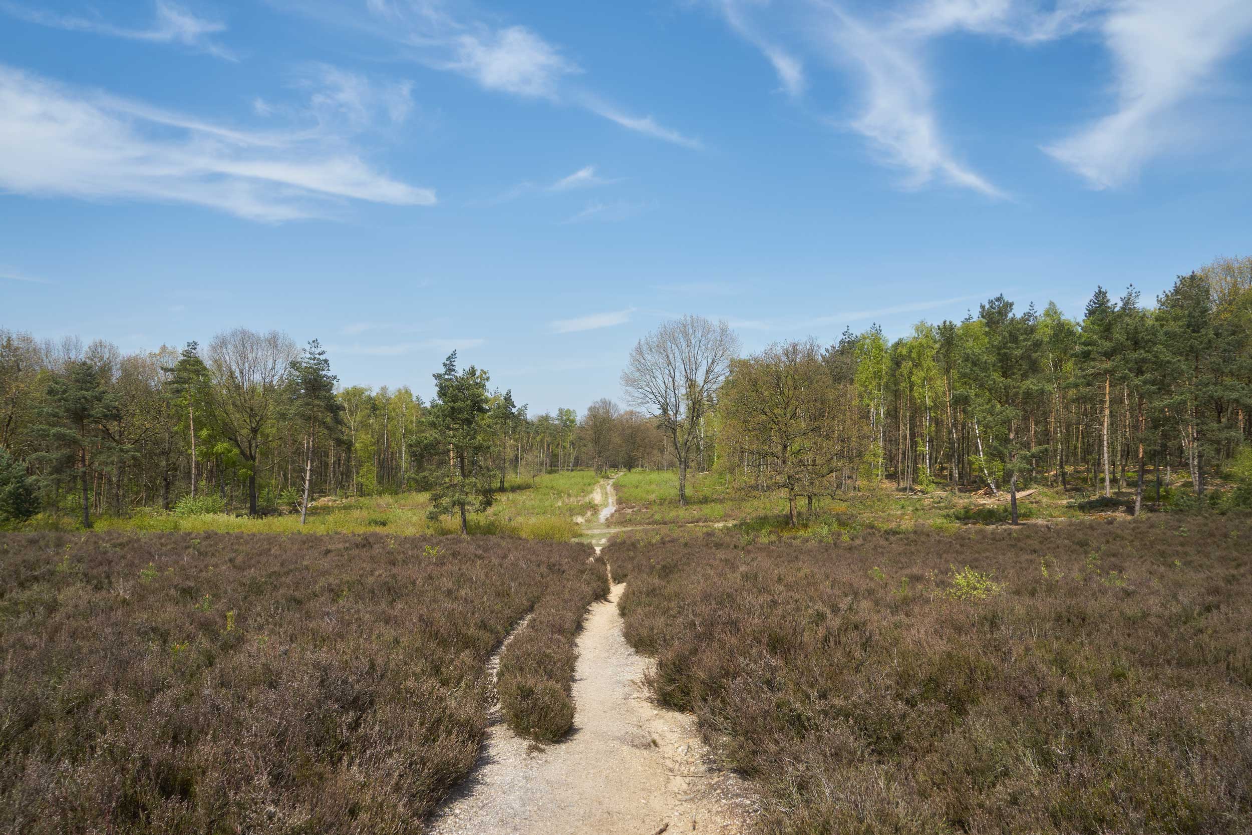 Meist flache Pfade und Wege – Wandern in den Niederlanden geht mit viel Ruhe und urbaner Nähe © pixabay