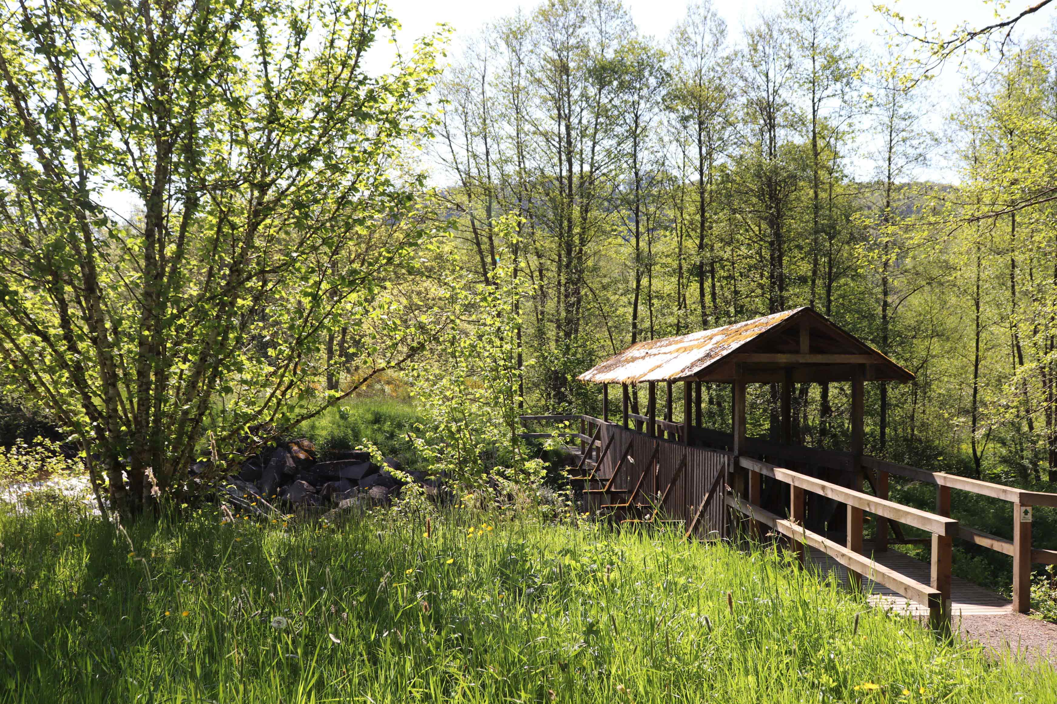 Brücke über die Irsen auf dem barrierefreien Rundweg in der Region Islek © Tourist-Information Islek