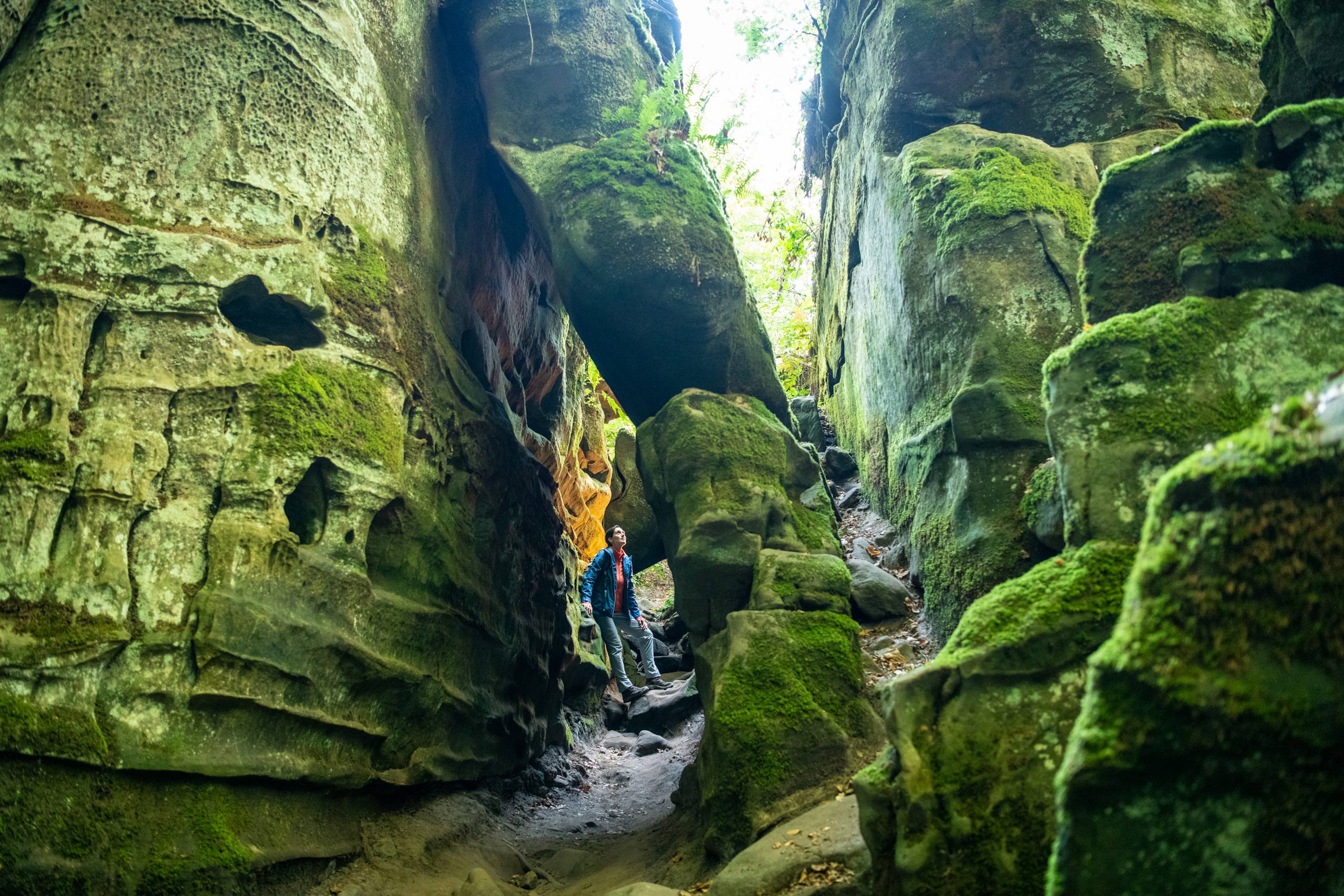 Lauschtour Teufelsschlucht im Felsenland Südeifel © Eifel Tourismus GmbH, Dominik Ketz