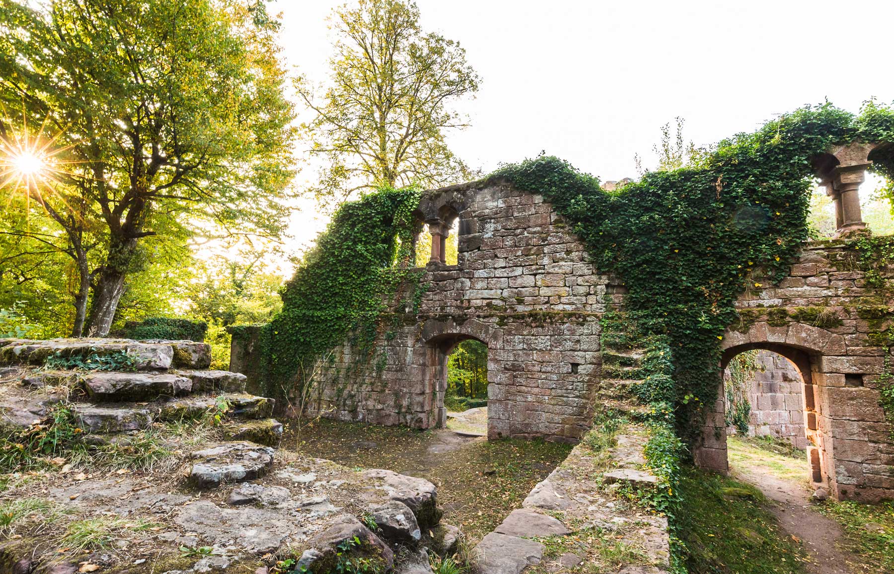 Eine Ruine im Wald